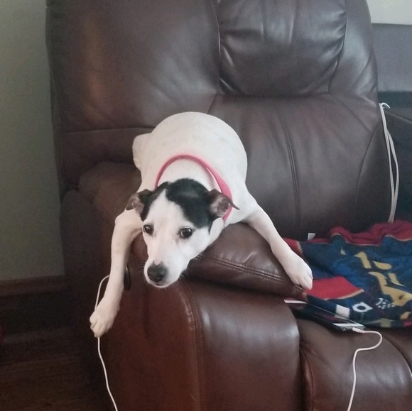 Meet your Posher, Cassandra - Picture 1 of 1